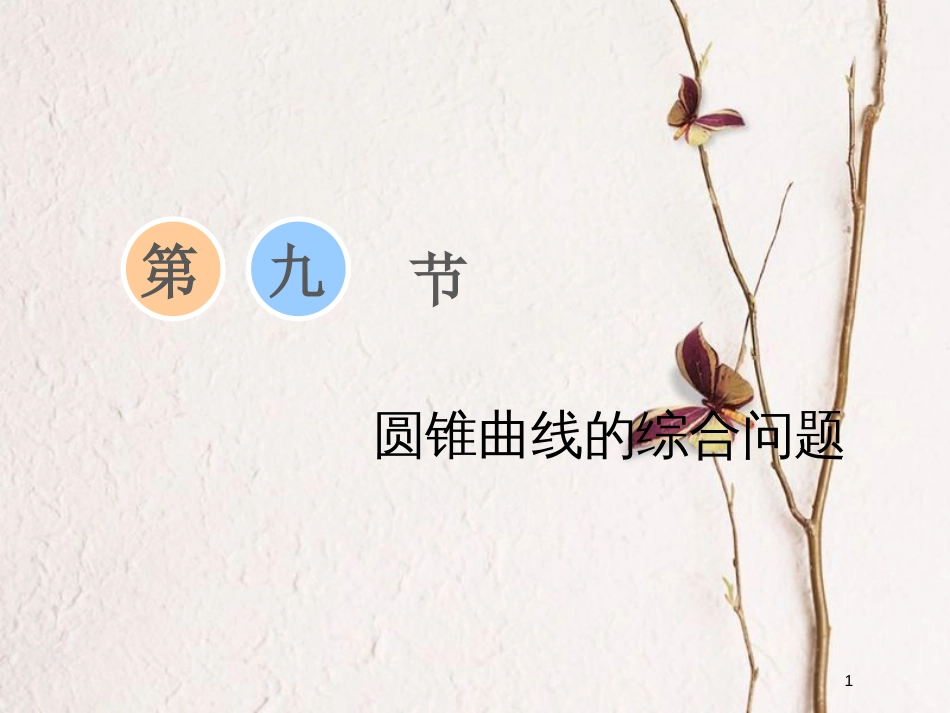 2019届高考数学一轮复习 第八章 解析几何 第九节 圆锥曲线的综合问题课件 理_第1页