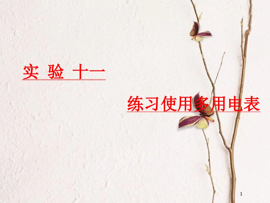 2019届高考物理一轮复习 第八章 恒定电流 实验十一 练习使用多用电表课件_第1页
