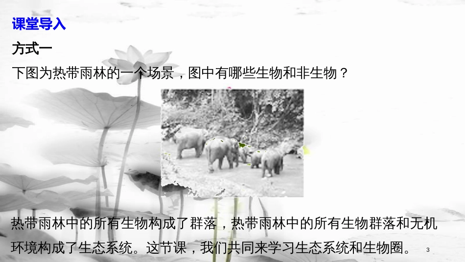 高中生物 第4章 光合作用和细胞呼 4.1 生态系统和生物圈课件 苏教版必修1_第3页