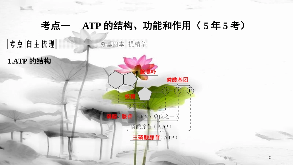 届高考生物一轮复习 第三单元 细胞的能量供应和利用 第9讲 ATP与细胞呼吸课件_第2页
