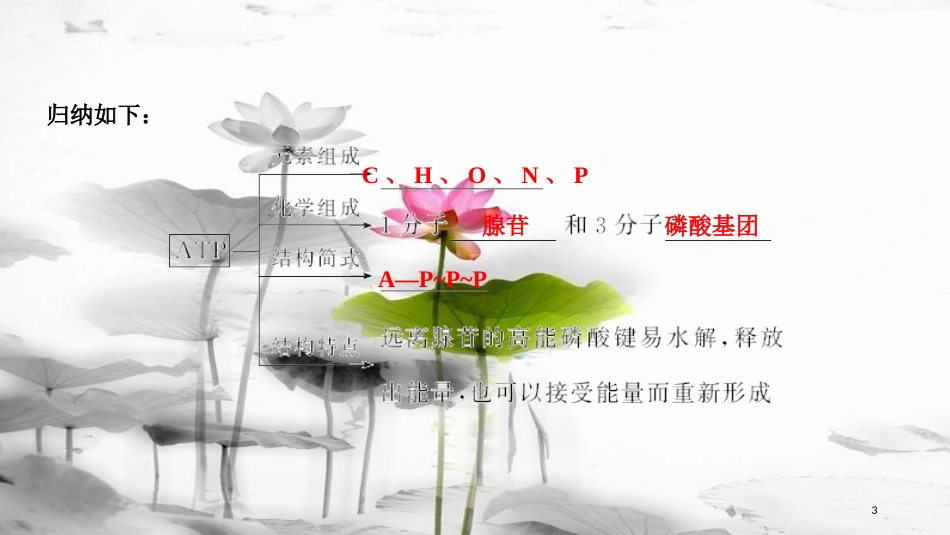 届高考生物一轮复习 第三单元 细胞的能量供应和利用 第9讲 ATP与细胞呼吸课件_第3页