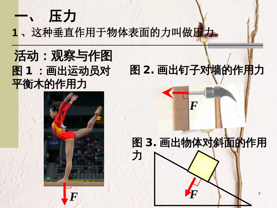 江苏省宜兴市八年级物理下册 10.1压强课件 （新版）苏科版_第2页