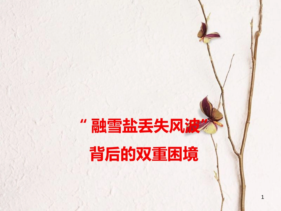 2018高考语文 作文热点素材“融雪盐丢失风波”背后的双重困境课件_第1页