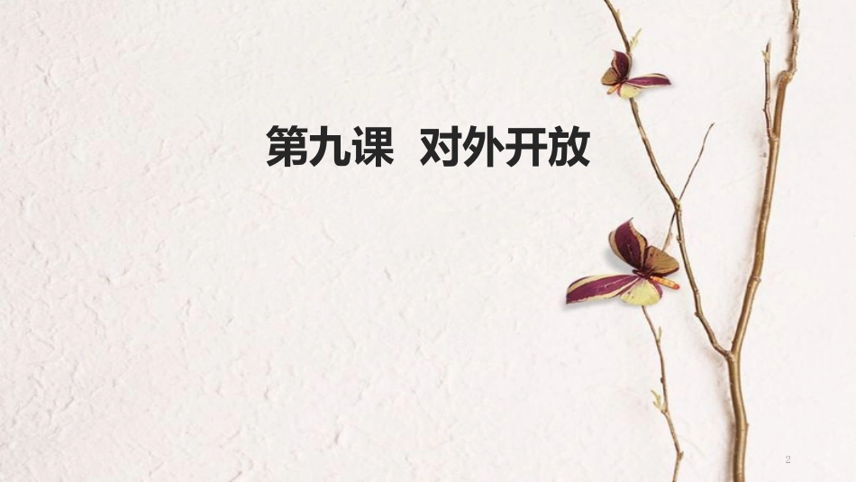 八年级历史下册 第三单元 中国特色社会主义道路 第9课《对外开放》教学课件 新人教版_第2页