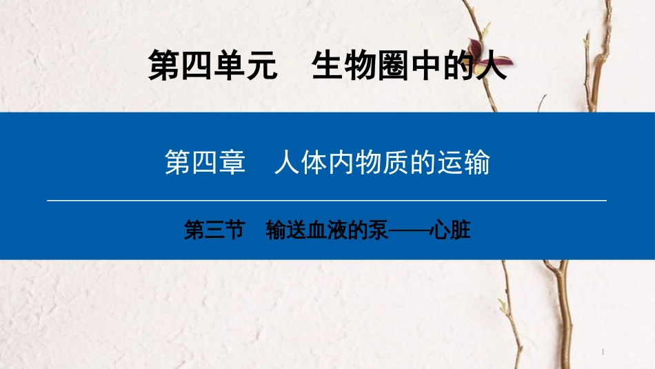 （深圳专用）七年级生物下册 第四单元 第四章 第三节 输送血液的泵——心脏课件 （新版）新人教版_第1页