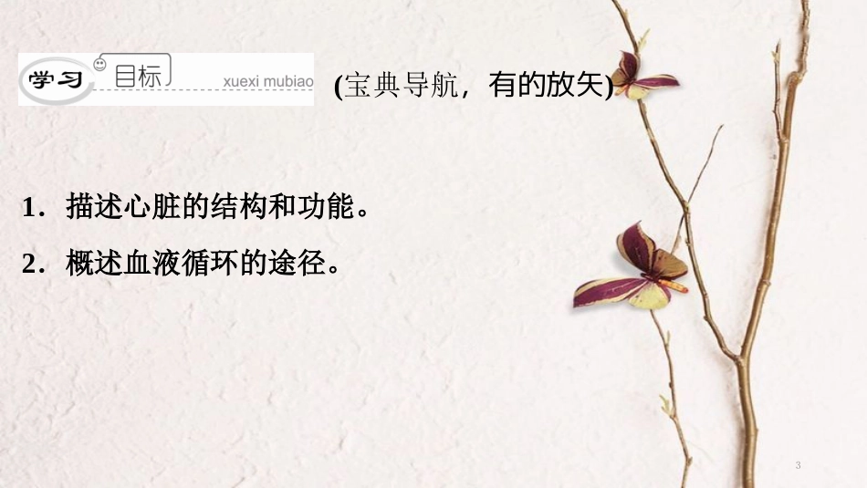 （深圳专用）七年级生物下册 第四单元 第四章 第三节 输送血液的泵——心脏课件 （新版）新人教版_第3页