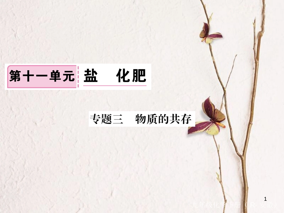 （安徽专版）九年级化学下册 专题三 物质的共存练习课件 （新版）新人教版_第1页