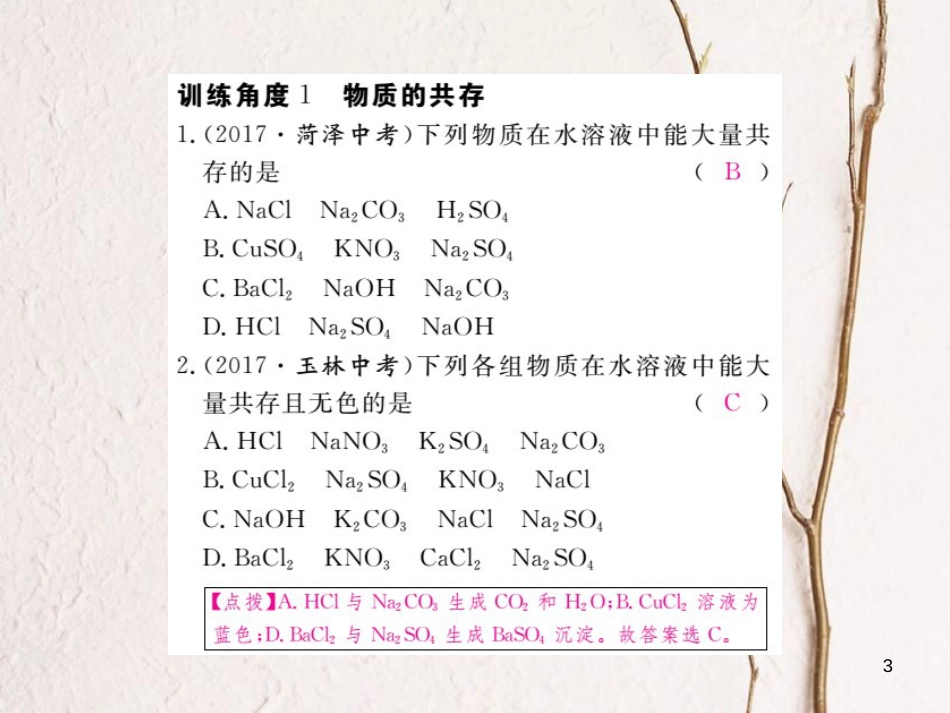 （安徽专版）九年级化学下册 专题三 物质的共存练习课件 （新版）新人教版_第3页