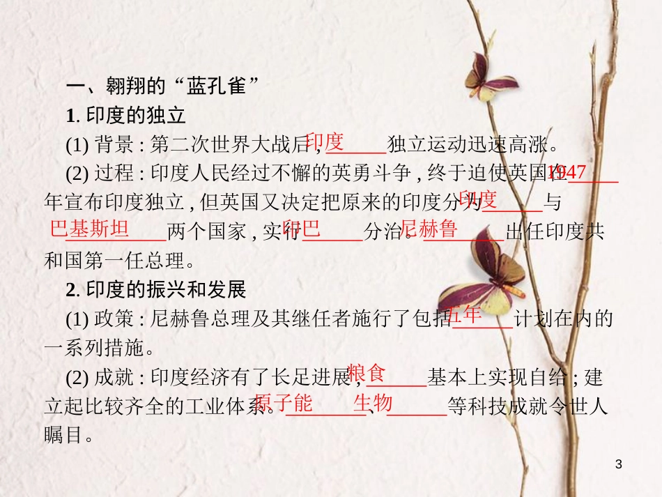 （福建专版）九年级历史下册 第三单元 两极下的竞争 14 殖民废墟上的重建课件 北师大版_第3页