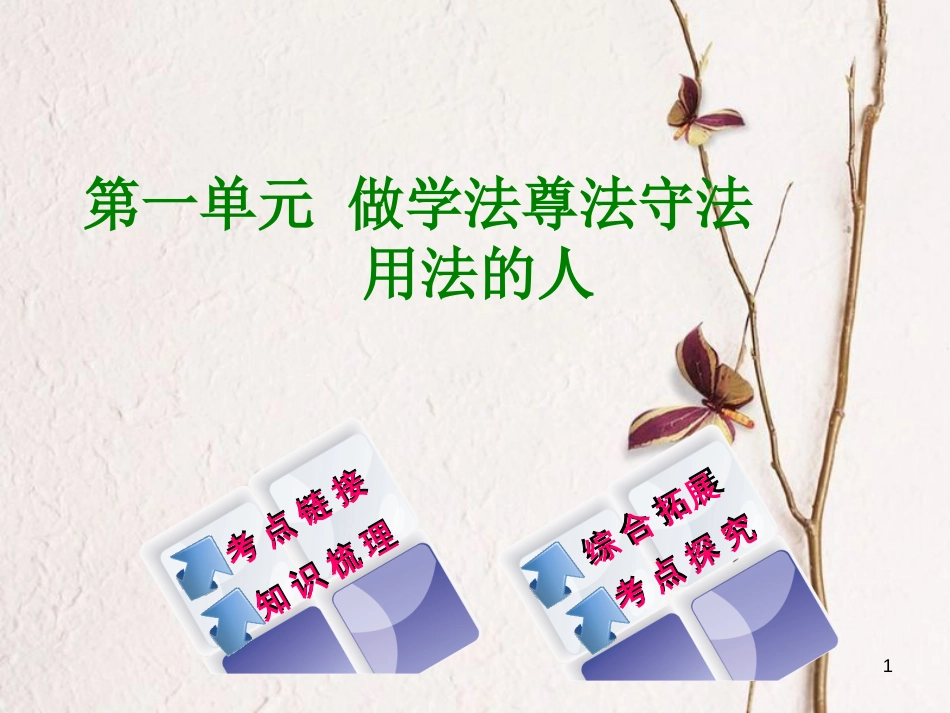 广西北部湾四市中考政治 第一单元 做学法尊法守法用法的人复习课件_第1页