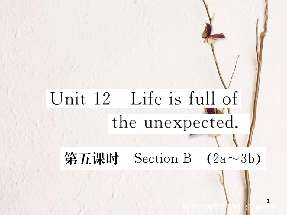 （安徽专版）九年级英语全册 Unit 12 Life is full of the unexpected（第5课时）习题课件 （新版）人教新目标版_第1页