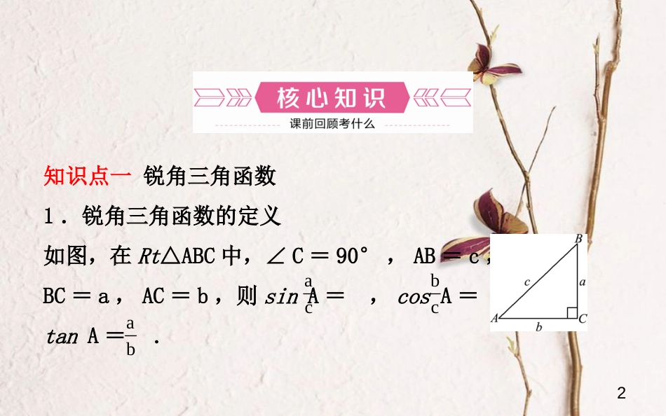 山东省济南市中考数学一轮复习 第四章 几何初步与三角形 第四节 解直角三角形课件_第2页