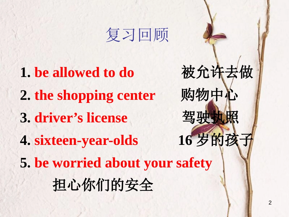 甘肃省武威市民勤县九年级英语全册 Unit 7 Teenagers should be allowed to choose their own clothes（第2课时）课件 （新版）人教新目标版_第2页