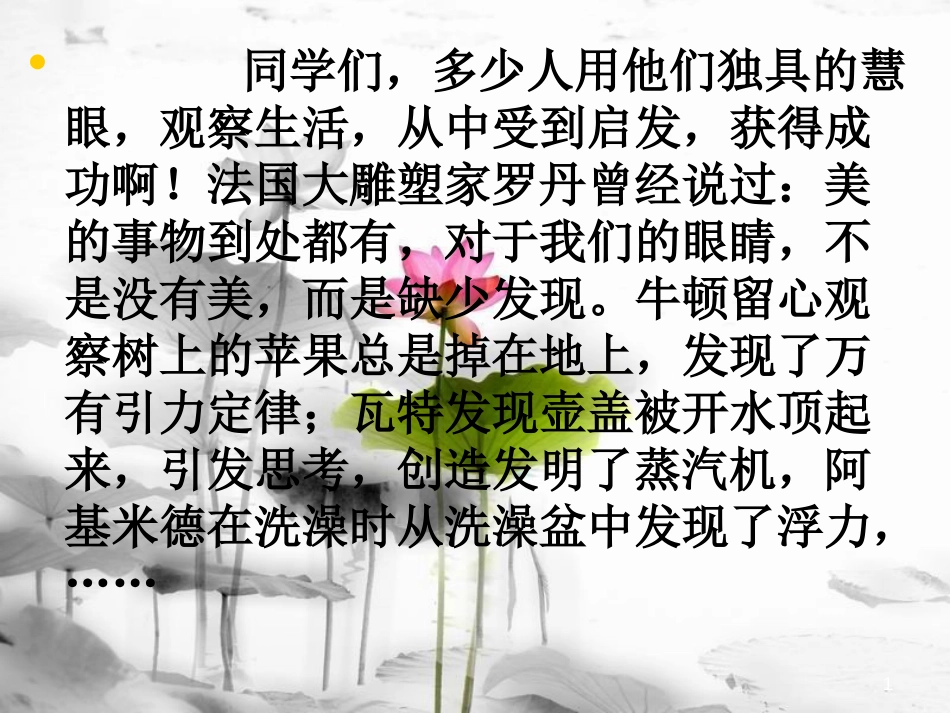 一年级科学上册 第二单元 第3课 大自然中的发现课件1 湘科版[共49页]_第1页