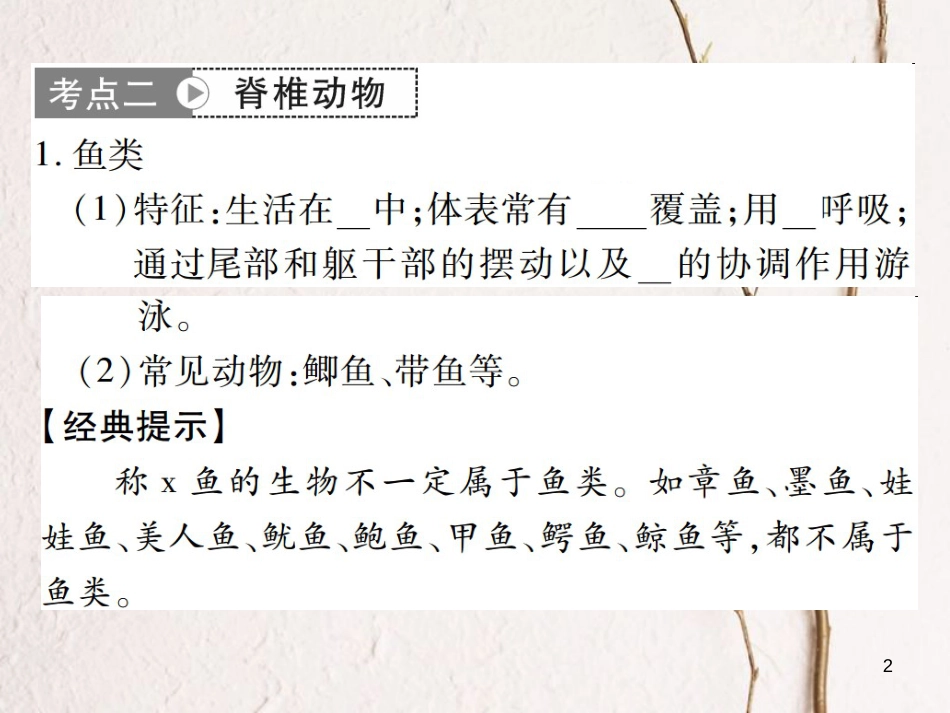 八年级生物上册 第五单元 第1章 动物的主要类群（4-7节）复习课件 （新版）新人教版_第2页