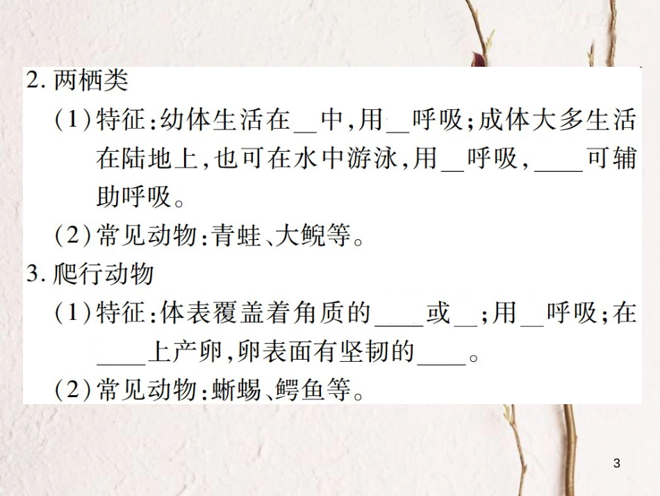 八年级生物上册 第五单元 第1章 动物的主要类群（4-7节）复习课件 （新版）新人教版_第3页