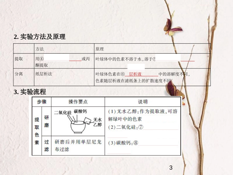 （新课标）2019版高考生物一轮复习 专题6 光合作用课件_第3页