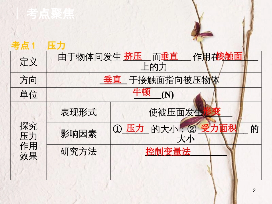 山东省新泰市中考物理 第九章 压强复习课件 新人教版_第2页