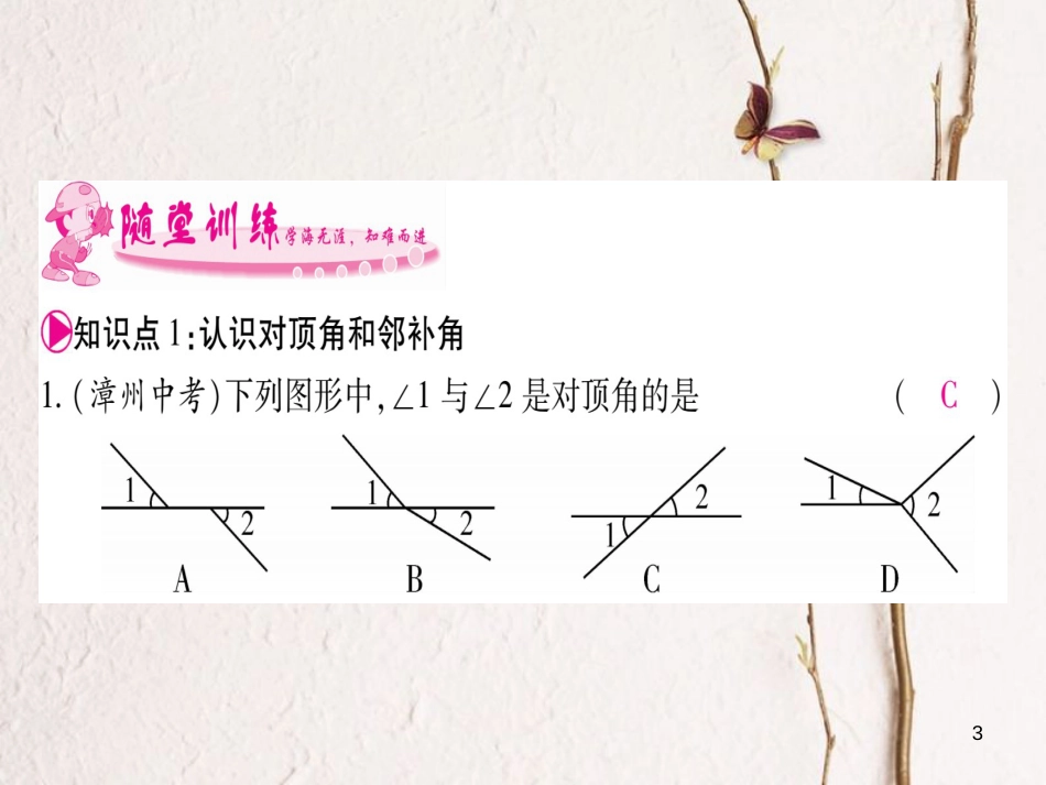 七年级数学下册 第5章 相交线与平行线 5.1 相交线习题课件 （新版）新人教版_第3页