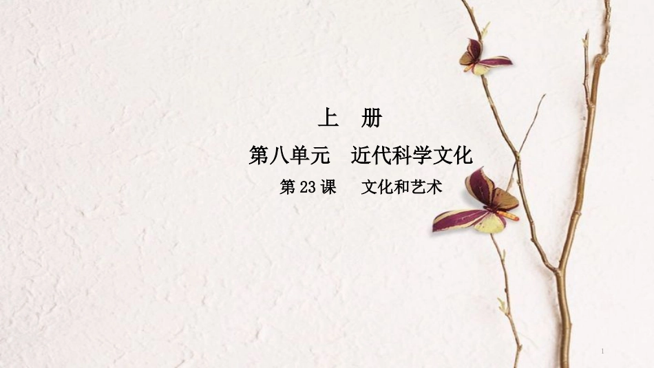 九年级历史上册 第八单元 近代科学文化 第23课 文化和艺术导学课件 中华书局版_第1页