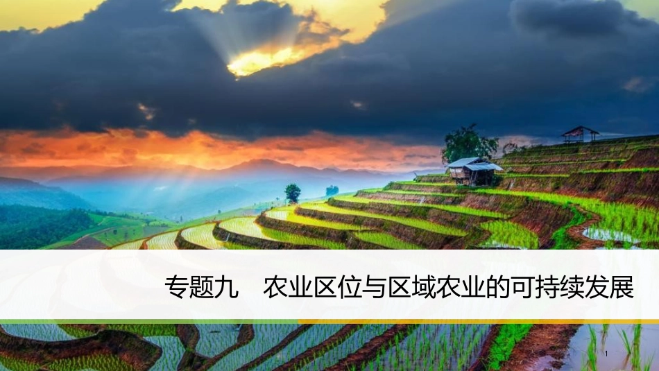 高考地理二轮专题复习 专题九 农业区位与区域农业的可持续发展课件 新人教版_第1页