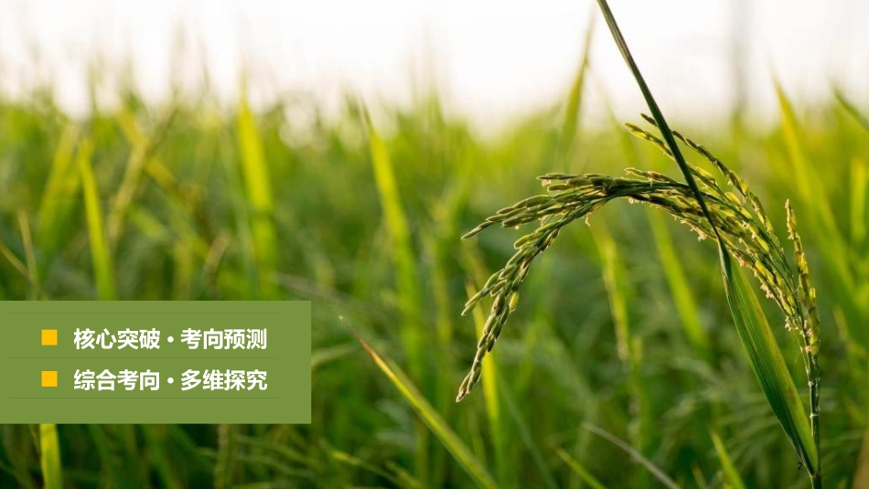 高考地理二轮专题复习 专题九 农业区位与区域农业的可持续发展课件 新人教版_第2页