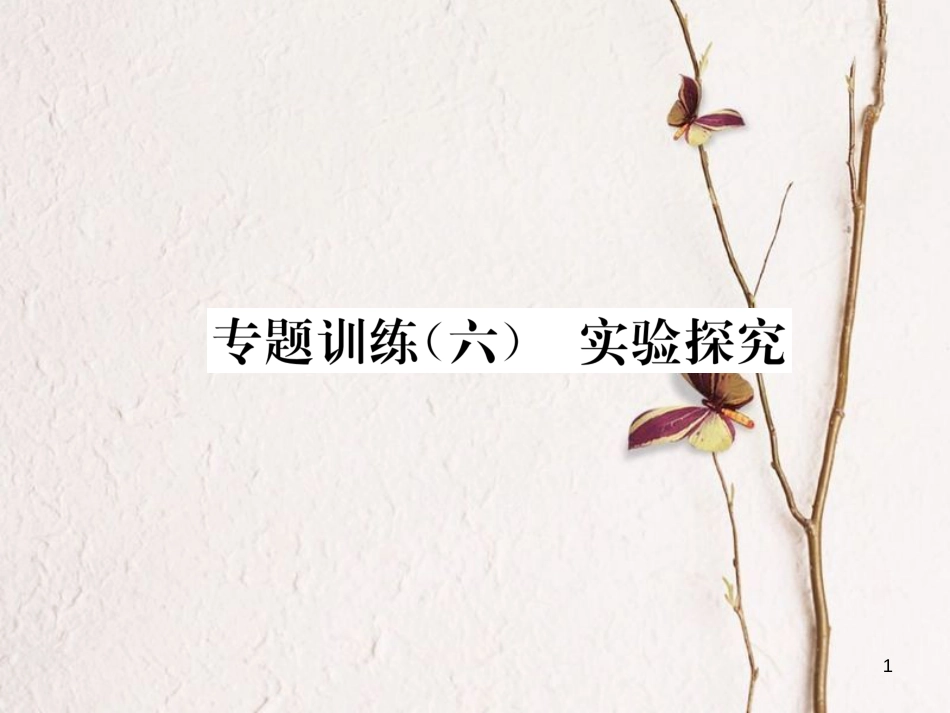 九年级化学上册 专题训练（六）实验探究习题课件 （新版）新人教版_第1页