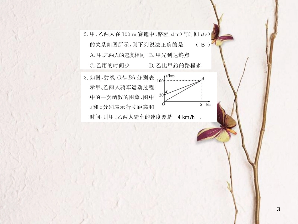 八年级数学上册 4.4 一次函数的应用 第3课时 较复杂的一次函数的应用习题课件 （新版）北师大版_第3页