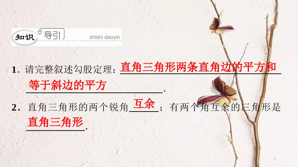 八年级数学下册 第一章 三角形的证明 1.2 直角三角形（1）典型训练课件 （新版）北师大版_第3页