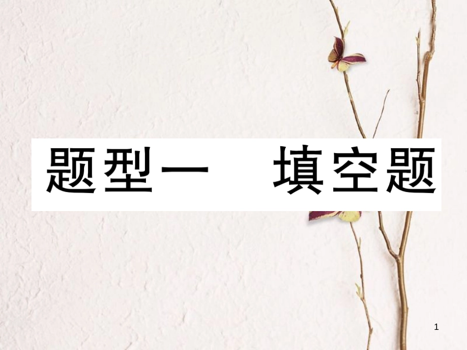 （青海专版）中考数学复习 第2编 专题突破篇 题型1 填空题（精讲）课件_第1页