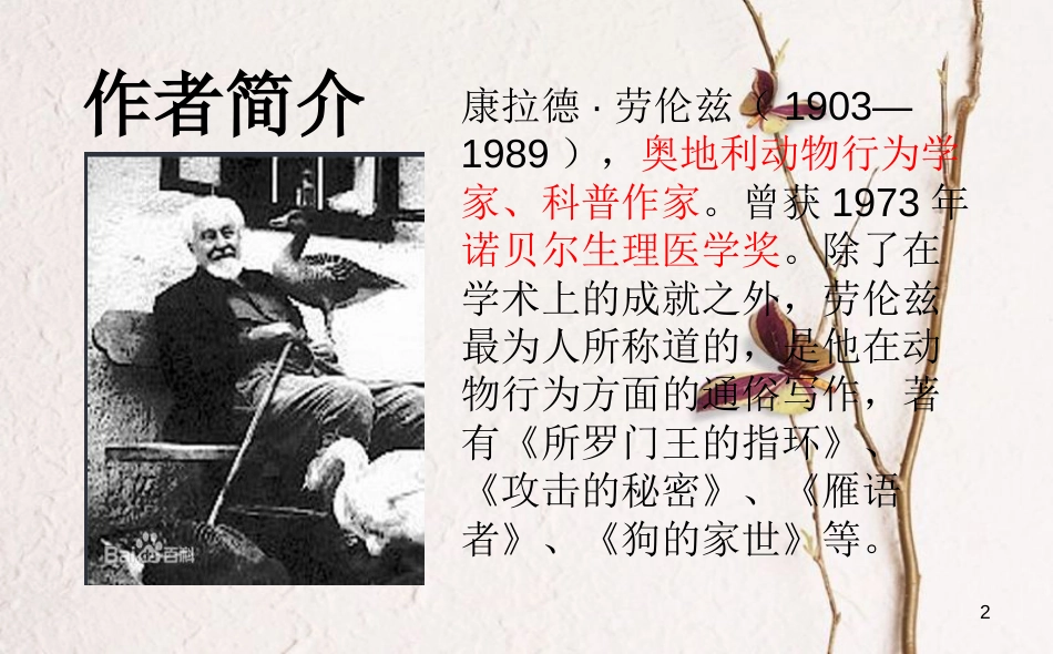 湖南省迎丰镇七年级语文上册第五单元17《动物笑谈》课件新人教版_第2页