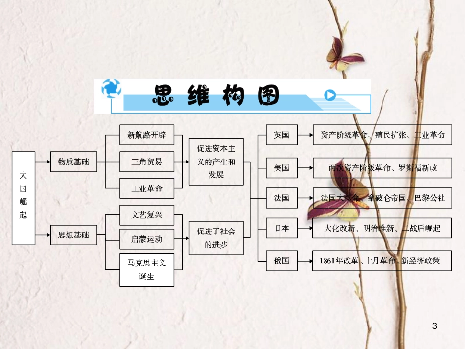 安徽省中考历史复习 第3部分 专题探究篇 专题4 大国崛起—英、美、法、日、俄(苏联)的崛起课件 新人教版_第3页