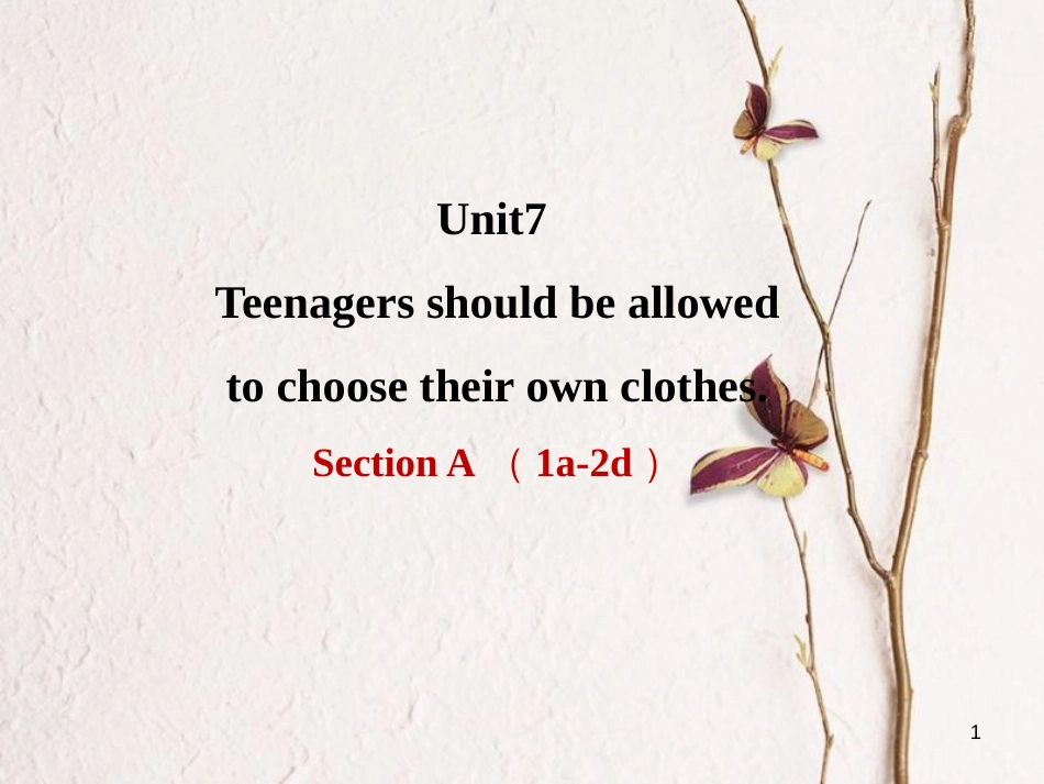 甘肃省武威市民勤县九年级英语全册 Unit 7 Teenagers should be allowed to choose their own clothes（第1课时）课件 （新版）人教新目标版_第1页