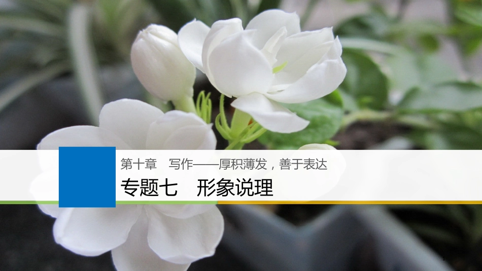 2019届高考语文一轮复习 第十章 写作-厚积薄发，善于表达 专题七 形象说理课件_第1页