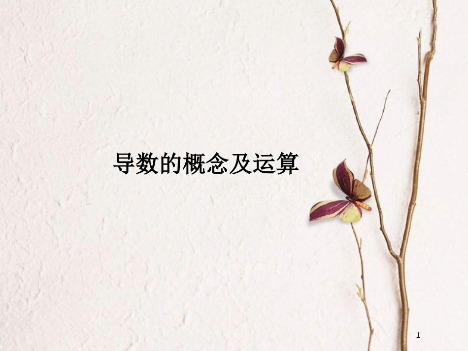 山西省忻州市高考数学 专题 导数概念及运算复习课件_第1页