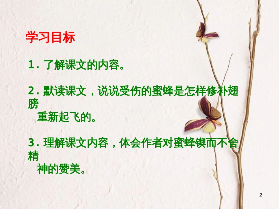 六年级语文上册 第四单元 蜜蜂课件1 湘教版_第2页