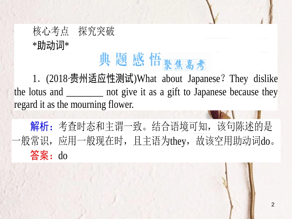 2019届高三英语一轮复习 第六讲 助动词、情态动词和虚拟语气课件 新人教版_第2页