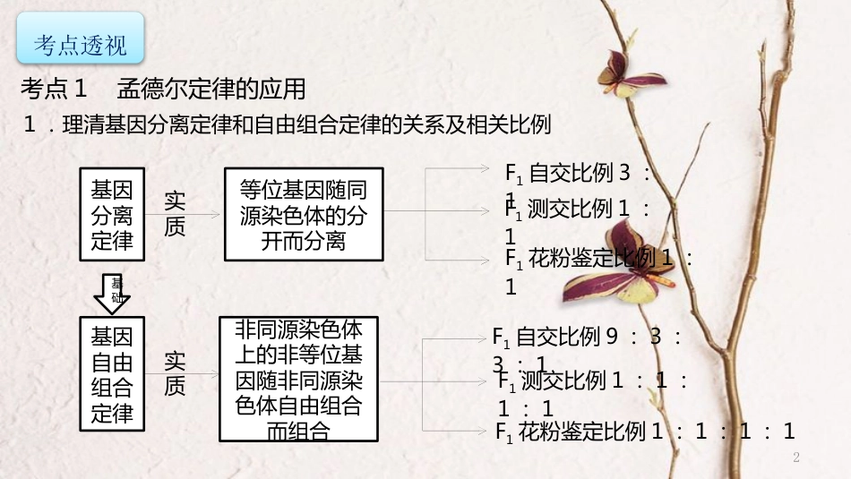 年高考生物二轮复习 专题4 遗传、变异和进化 第2讲 遗传的基本规律和伴性遗传课件_第2页