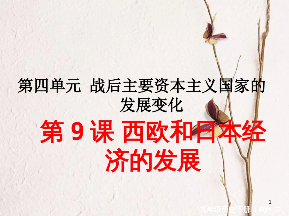 （安徽专版）九年级历史下册 第四单元 战后主要资本主义国家的发展变化 第9课 西欧和日本经济的发展同步测试课件 新人教版_第1页