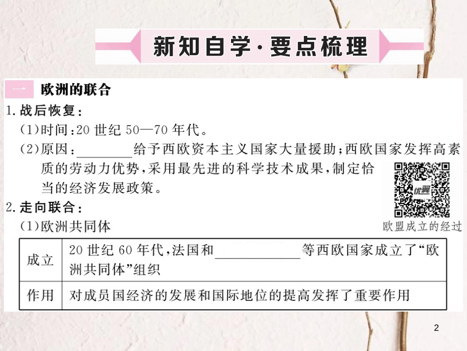 （安徽专版）九年级历史下册 第四单元 战后主要资本主义国家的发展变化 第9课 西欧和日本经济的发展同步测试课件 新人教版_第2页