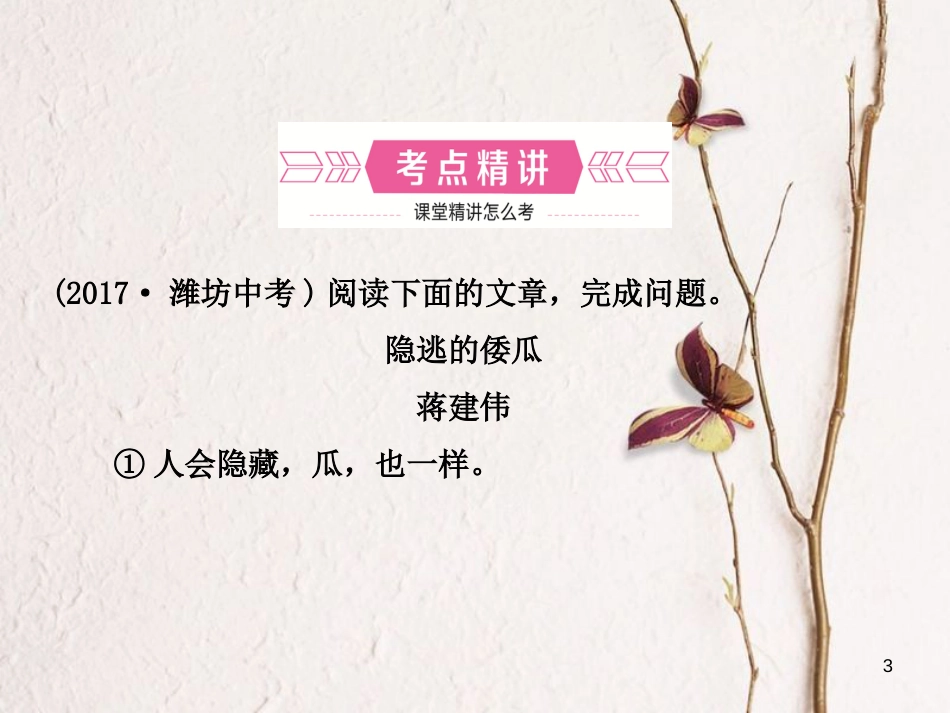 （潍坊专版）中考语文 专题十四 散文阅读复习课件_第3页