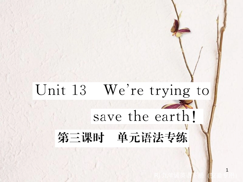 （安徽专版）九年级英语全册 Unit 13 We’re trying to save the earth（第3课时）语法专练习题课件 （新版）人教新目标版_第1页