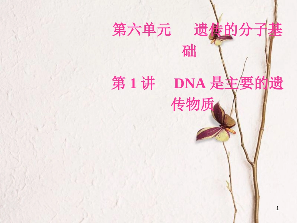 2019版高考生物总复习 第六单元 遗传的分子基础 第1讲 DNA是主要的遗传物质课件_第1页