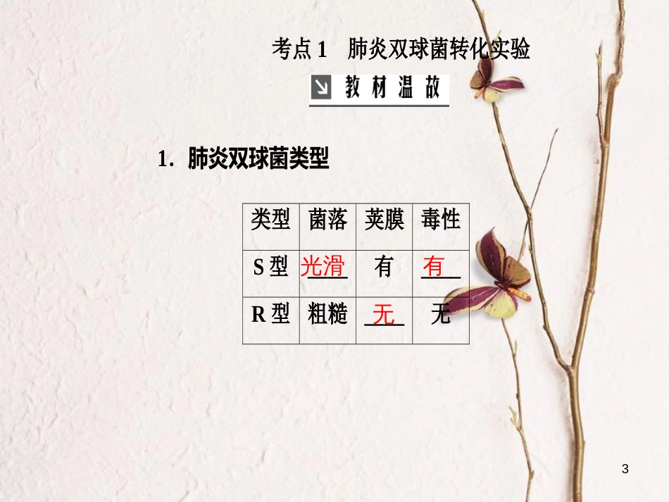 2019版高考生物总复习 第六单元 遗传的分子基础 第1讲 DNA是主要的遗传物质课件_第3页