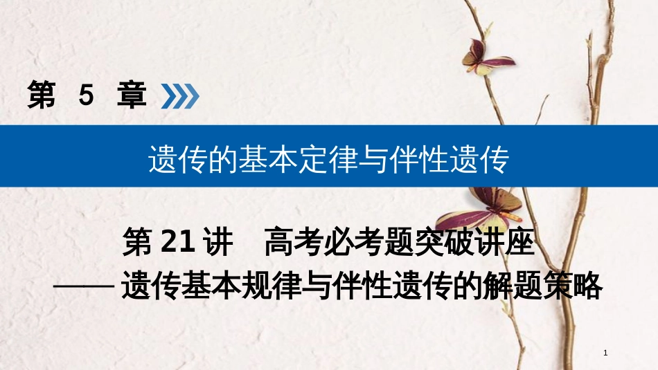 2019版高考生物大一轮复习 第21讲 遗传基本规律与伴性遗传的解题策略优选课件_第1页