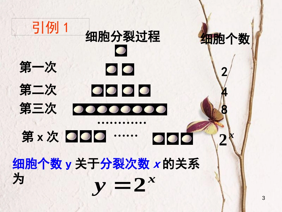 河北省临漳县高中数学 第二章 基本初等函数（Ⅰ）2.1.2 指数函数课件 新人教A版必修1_第3页