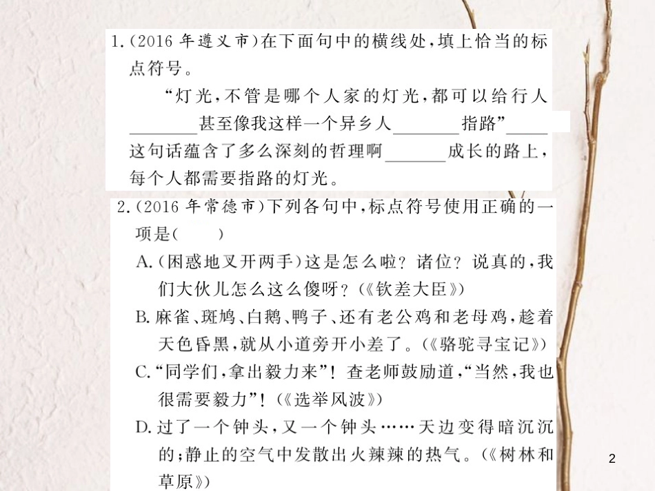 中考语文总复习 第2编 语文知识积累与运用 专题九 标点符号考点精练课件 语文版_第2页