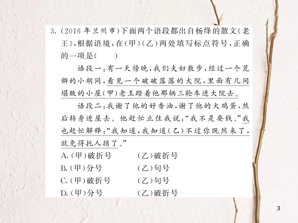 中考语文总复习 第2编 语文知识积累与运用 专题九 标点符号考点精练课件 语文版_第3页