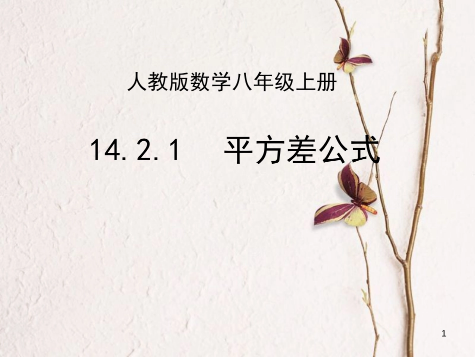 陕西省安康市石泉县池河镇八年级数学上册 14.2 乘法公式 14.2.1 平方差公式课件 （新版）新人教版_第1页