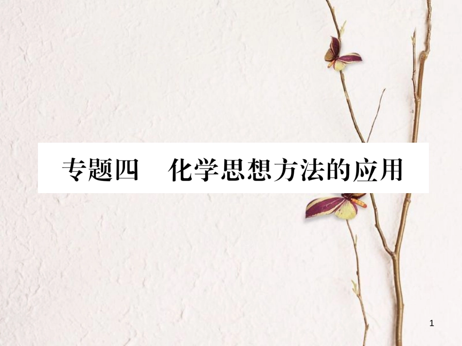 （贵阳专版）中考化学复习 专题4 化学思想方法的应用（精练）课件_第1页